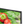 Toshiba 43QA5D63DG QLED 43'' 4K Ultra HD Android - 1089887 - zdjęcie 11